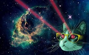 Image result for Galaxy Cat with Lasers