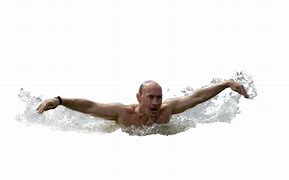 Image result for Man Swimming PNG
