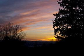 Image result for Golden Pastel Sky