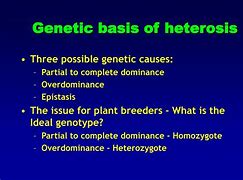 Image result for Types of Heterosis