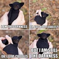 Image result for Bat Dog Meme
