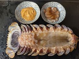 Image result for Giant Isopod Cooking