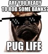 Image result for Thug Life Dog Meme