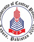 Image result for UCP Flag Patch