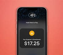 Image result for Apple Pay iOS Layout