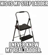 Image result for Climbing the Ladder Meme