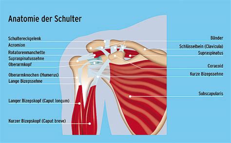 Image result for Scanner Images Computer