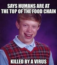 Image result for Top of the Food Chain Meme