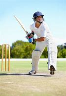 Image result for Equipment Used in Cricket