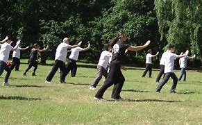Image result for Wu Style Tai Chi Short Form