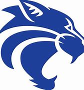 Image result for Wildcat SA Logo