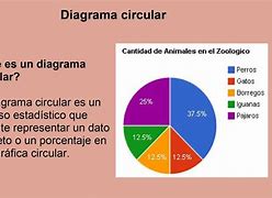Image result for Diagrama Circular Definicion
