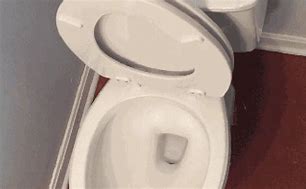 Image result for Flying Toilets GIF Screensaver