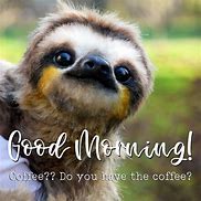 Image result for Sloth Coffee Meme