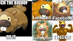 Image result for Touch the Bidoof Meme