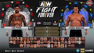 Image result for All Elite Wrestling Fight Forever Game