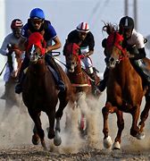 Image result for Arabian Horse Race