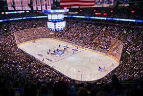 Image result for Toronto Maple Leafs Playing Surface