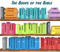 Image result for Types of Bible Books