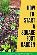 Image result for Square Foot Gardening