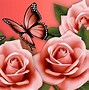 Image result for Pink Roses with Butterflies