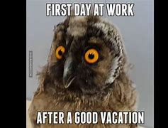 Image result for Monday After Vacation Meme