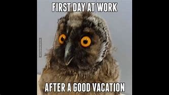 Image result for Monday Morning After Vacation Meme