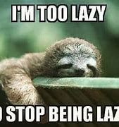 Image result for Funny Slow Sloth Memes