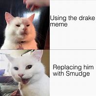 Image result for Drake Cat Meme