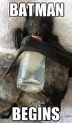 Image result for Bat Dog Meme