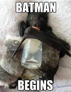 Image result for Dog Using a Bat Meme