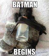 Image result for Suprised Bat Meme