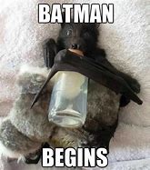 Image result for Supportive Bat Memes