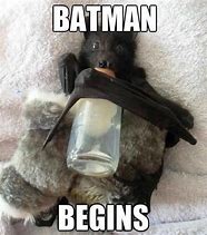 Image result for Awoogus Bat Meme
