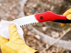 Image result for 5Tree Trimming Saw