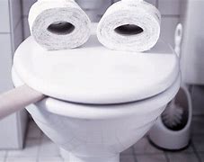 Image result for Toilet MacBook