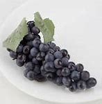 Image result for Grape Cluster Diseases