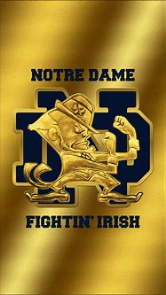 Image result for Notre Dame Football