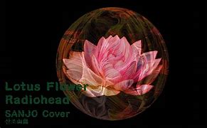 Image result for Lotus Flower Raidio Head