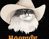 Image result for Meowdy Cat