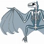 Image result for Anatomy of a Bat
