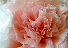 come creare fiori di carta crespa come creare fiori di carta crespa fiori di carta come creare fiori di carta crespa come creare fiori di carta crespa fiori di carta