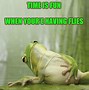 Image result for Silly Frog Pictures