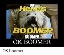 Image result for Ok Boomer Meme