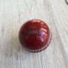 Image result for Mini Cricket Kid's