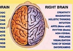 Image result for Male Female Brain Hemispheres