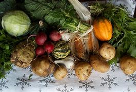 Image result for Community-Supported Agriculture