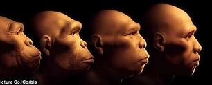 Image result for Human Evolution Technology
