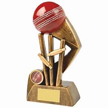 Image result for Star Cricket Trophy