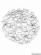 Image result for Giethoorn Hydrangea
